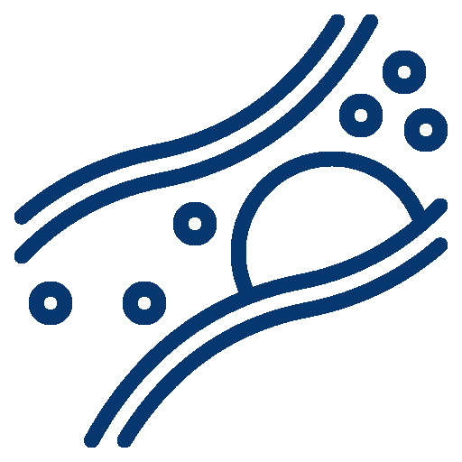 Dislipidemias o colesterol alto